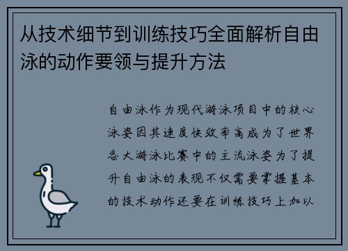 从技术细节到训练技巧全面解析自由泳的动作要领与提升方法